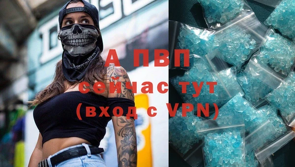 Альфа ПВП Гусиноозёрск
