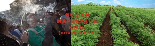 СК Гусев