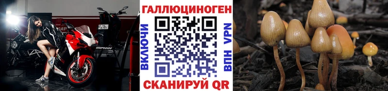 Галлюциногенные грибы GOLDEN TEACHER  Купить где  Тихвин 
